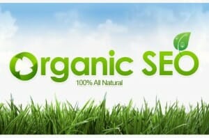 Organic SEO
