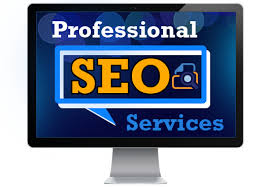 SEO professional services